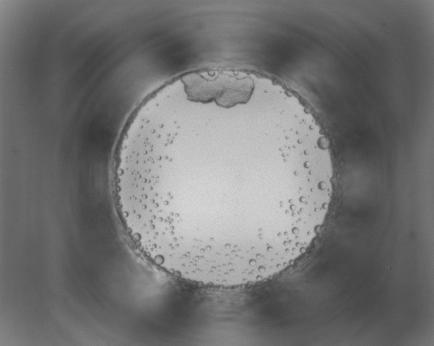 X0000080790856200701122146