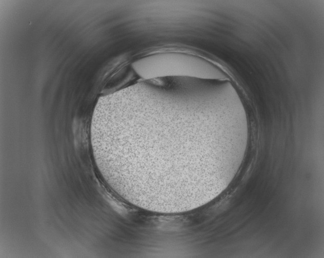 X0000080790857200701122146