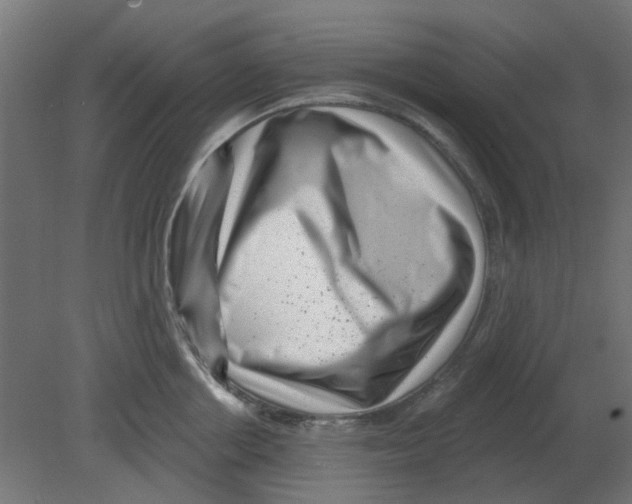 X0000080790858200701122146