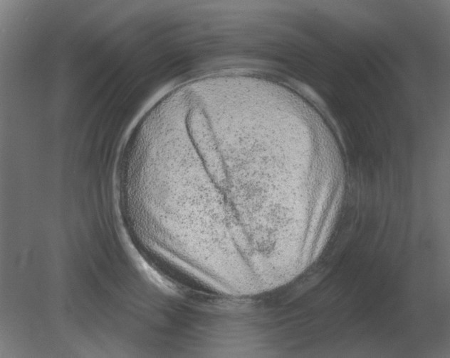 X0000080790859200701122146