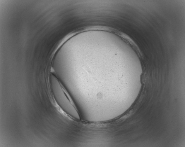 X0000080790860200701122146