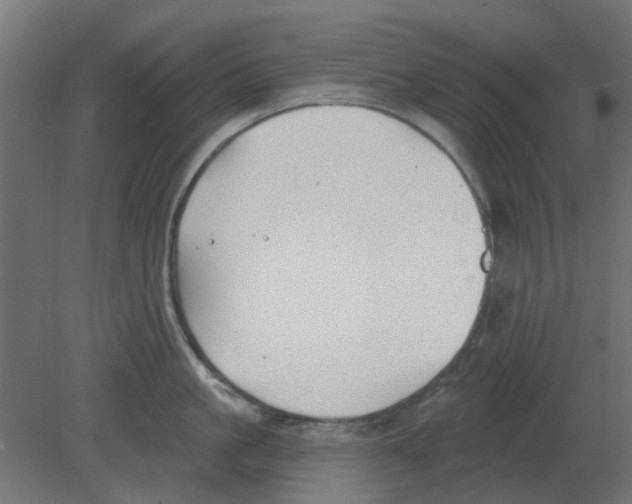 X0000080790861200701122146