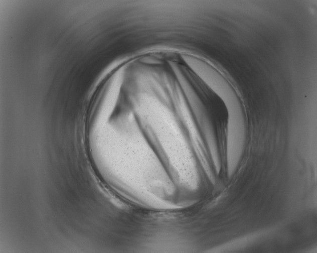 X0000080790862200701122146