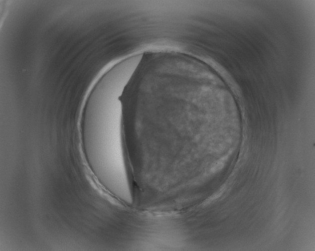 X0000080790864200701122146