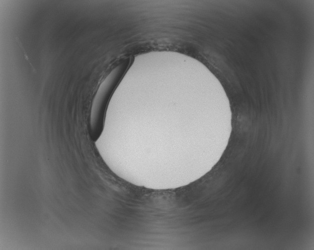 X0000080790865200701122145