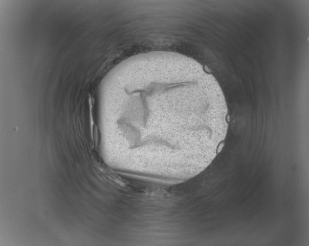 X0000080790866200701122145