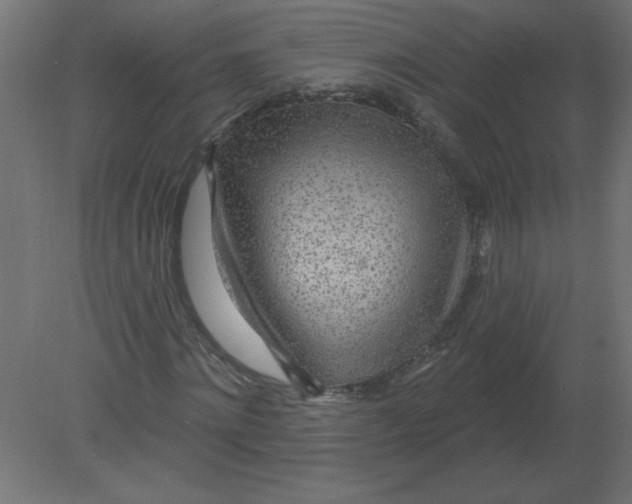 X0000080790868200701122145