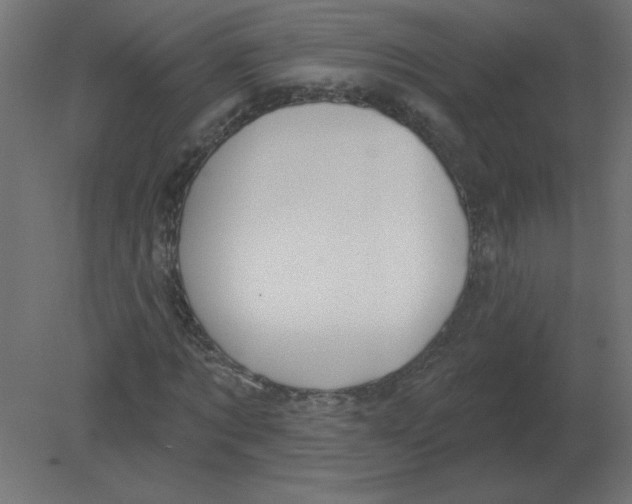 X0000080790869200701122145