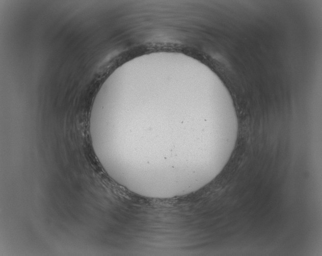 X0000080790870200701122145