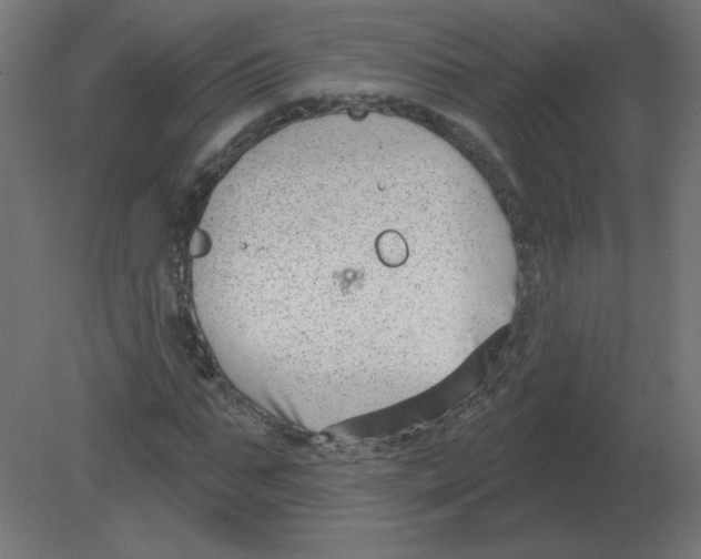 X0000080790871200701122145