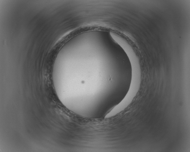 X0000080790872200701122145