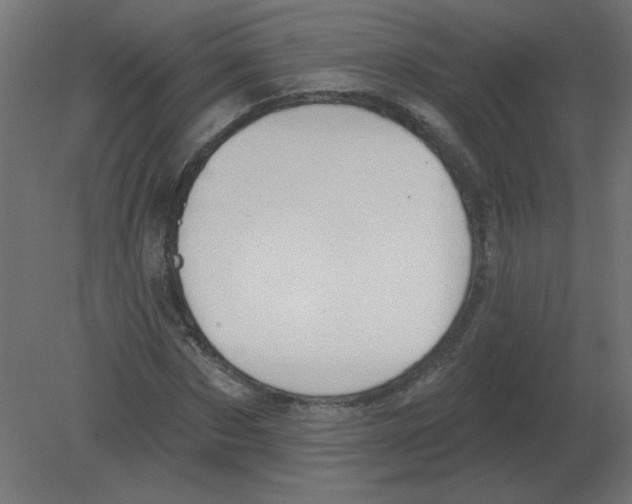 X0000080790873200701122145