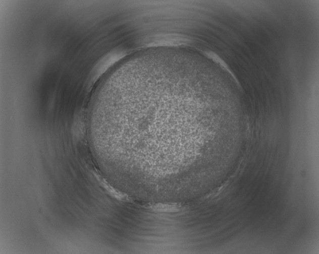 X0000080790874200701122145