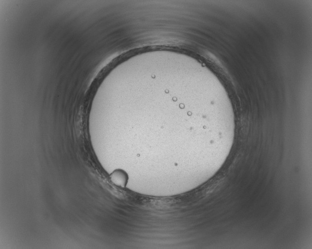 X0000080790875200701122145