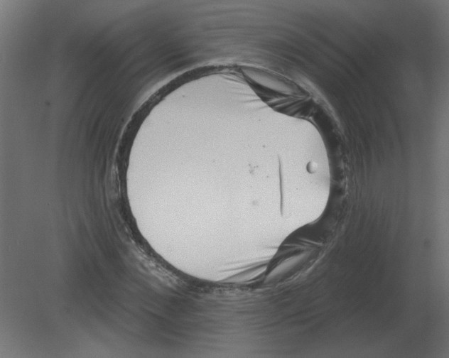 X0000080790876200701122145