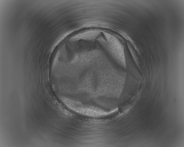 X0000080790877200701122145