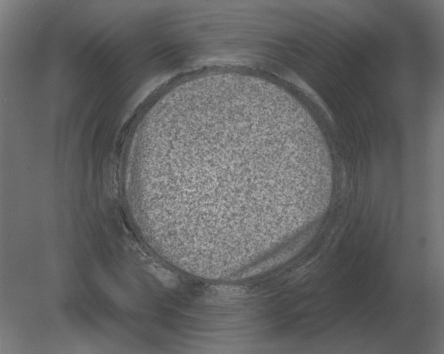 X0000080790878200701122145