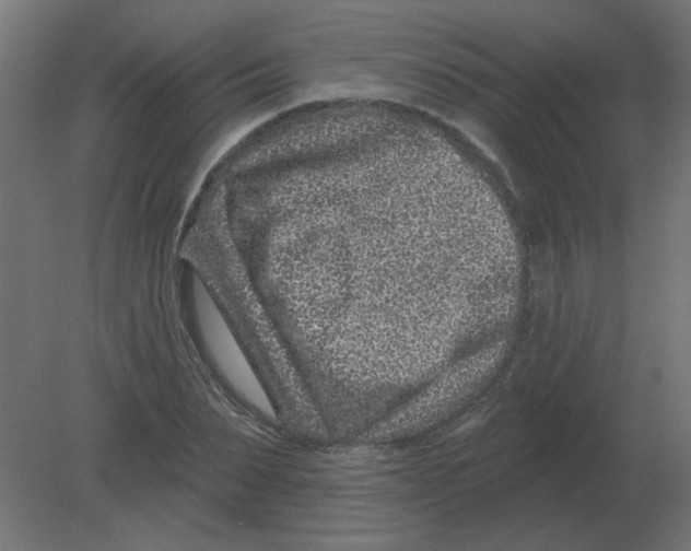 X0000080790879200701122145