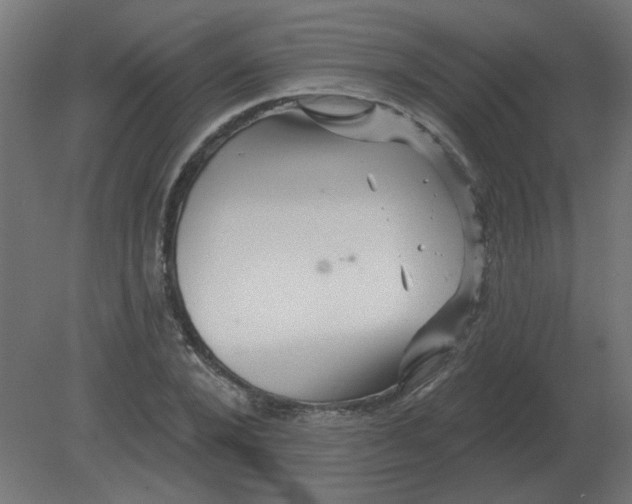 X0000080790880200701122145