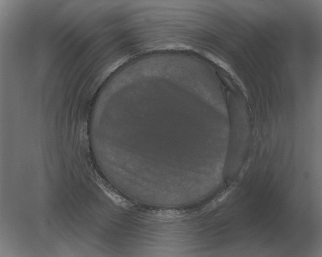 X0000080790881200701122145