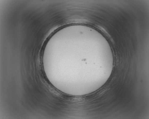 X0000080790883200701122145