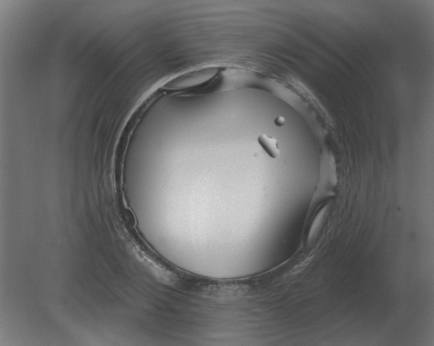 X0000080790884200701122145