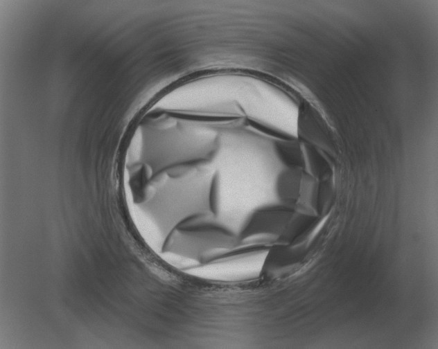 X0000080790885200701122145