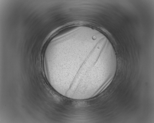 X0000080790886200701122145