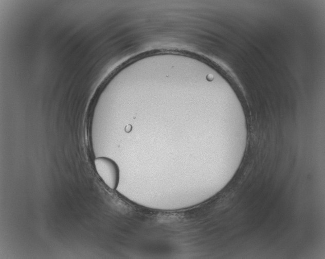 X0000080790887200701122145