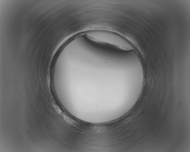 X0000080790888200701122145