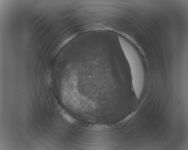 X0000080790889200701122145