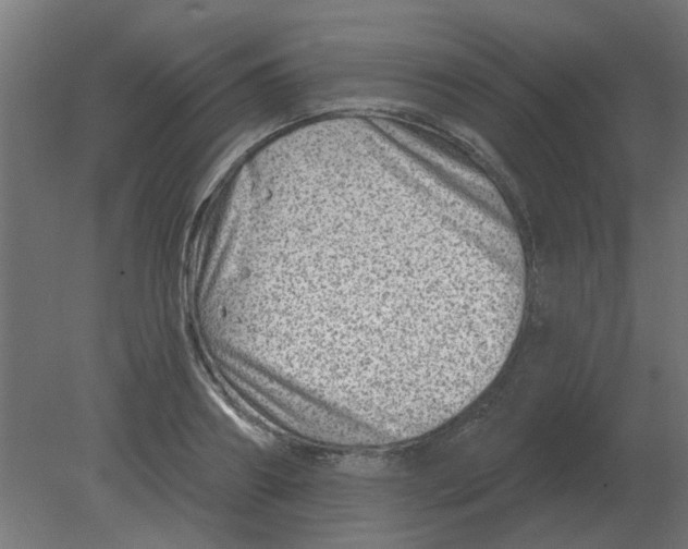 X0000080790890200701122145