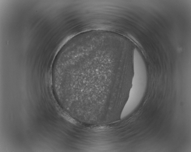 X0000080790891200701122145