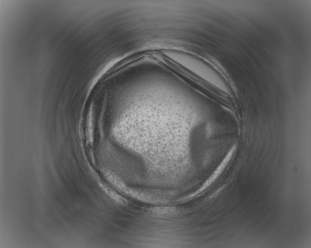 X0000080790893200701122145