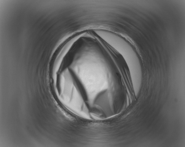 X0000080790894200701122145