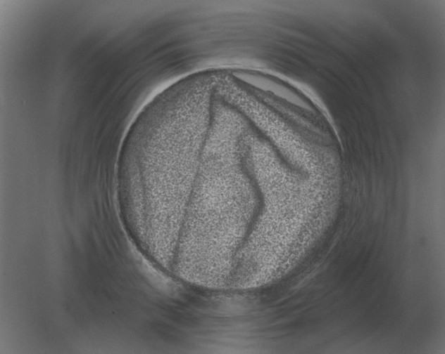 X0000080790895200701122145