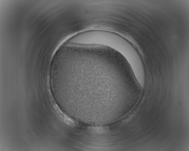 X0000080790896200701122145