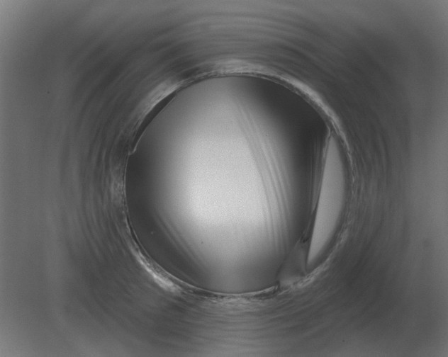 X0000080790897200701122145