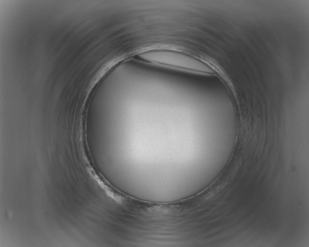 X0000080790898200701122145