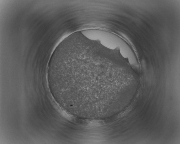 X0000080790899200701122144