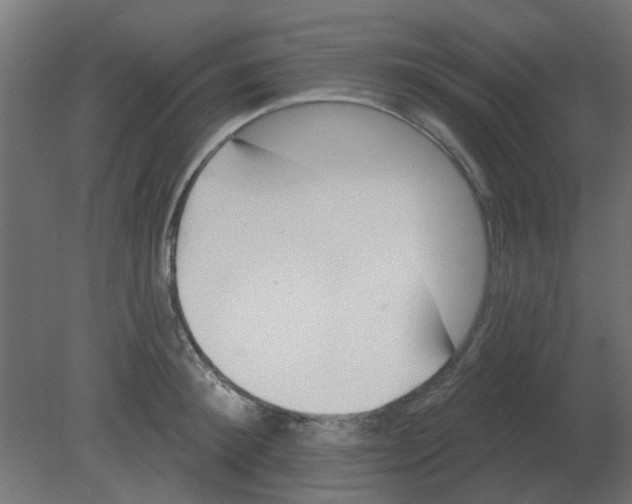 X0000080790900200701122144