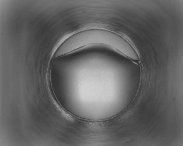 X0000080790901200701122144