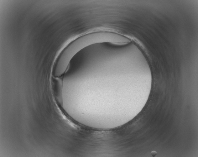 X0000080790902200701122144