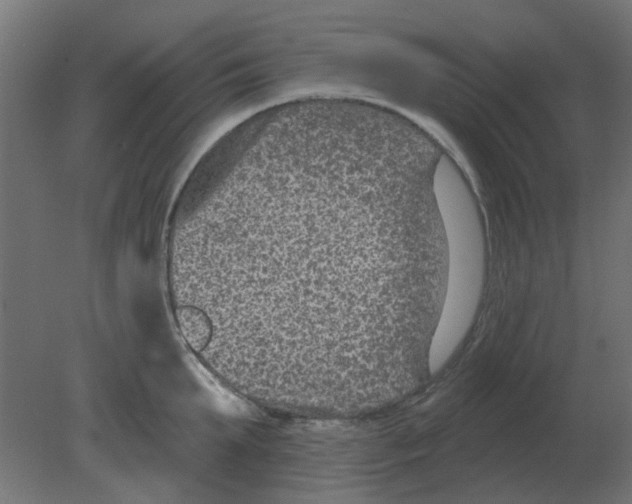 X0000080790903200701122144