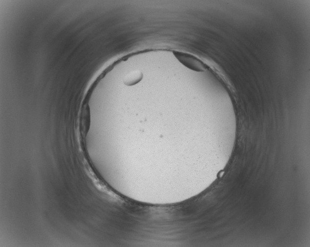 X0000080790904200701122144