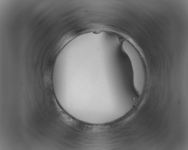 X0000080790905200701122144