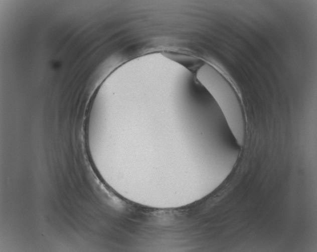 X0000080790906200701122144