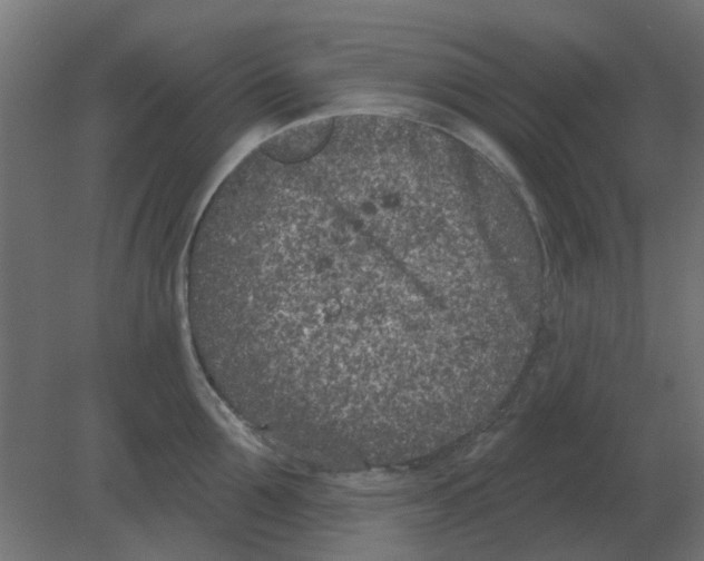 X0000080790907200701122144