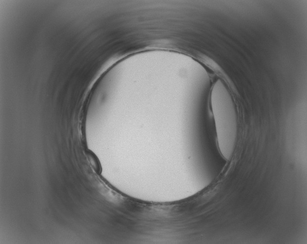 X0000080790908200701122144