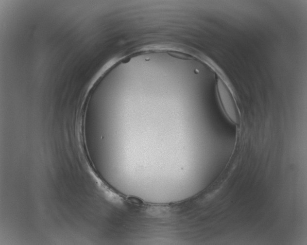 X0000080790909200701122144